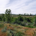 DSCF5283