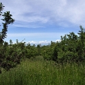 DSCF5286