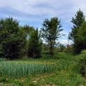 DSCF5292