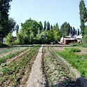 DSCF5024