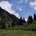 DSCF5337