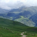 DSCF5356