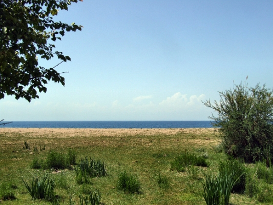 DSCF5049