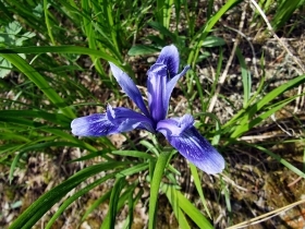 DSCF5087