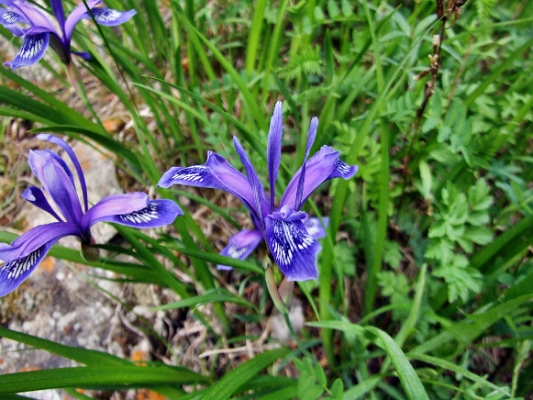 DSCF5088