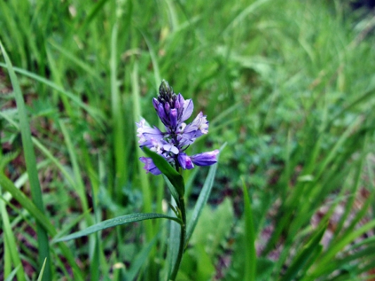 DSCF5089