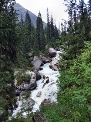 DSCF5091