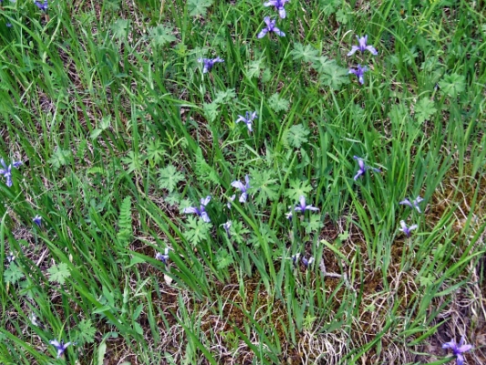 DSCF5097