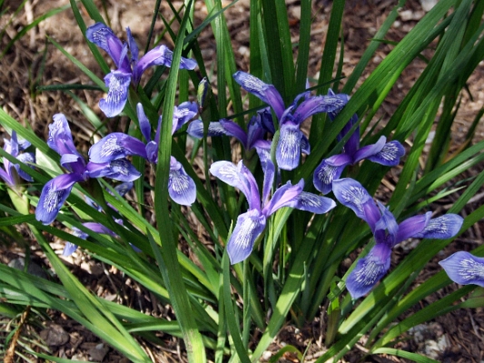 DSCF5117