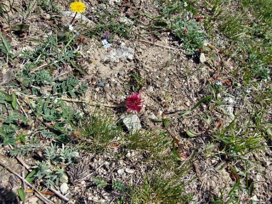 DSCF5131
