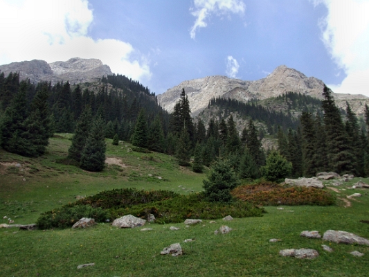 DSCF5145