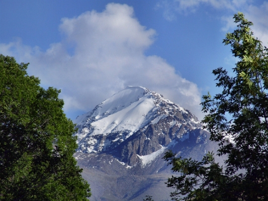 DSCF5266