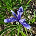 DSCF5087