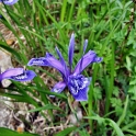 DSCF5088