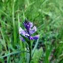 DSCF5089