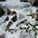 DSCF5094