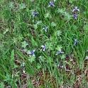 DSCF5097