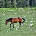 DSCF5103