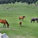 DSCF5108