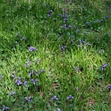 DSCF5110