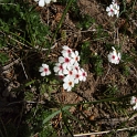 DSCF5112