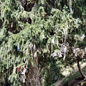 DSCF5114