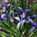 DSCF5117