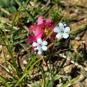 DSCF5127