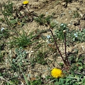 DSCF5129