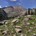 DSCF5130
