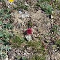 DSCF5131