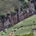 DSCF5155