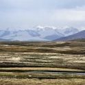 DSCF5175