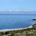 DSCF5272